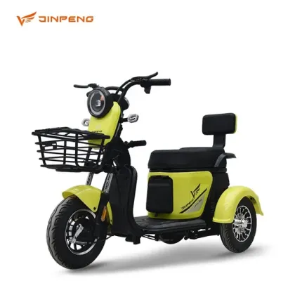 Adult Electric Tricycle Factory Support Tuk Tuk Electric