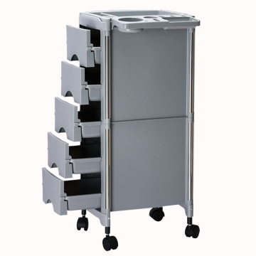 Professional Plastic Salon Trolleys for Beauty Hair Care: Ideal for Spa Studios and Home Use