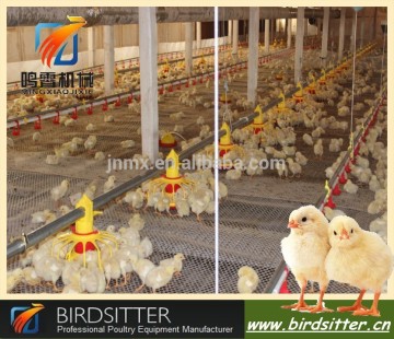 Modern popular chicken poultry raising equipment for sale