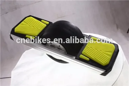 Electric Powered Skateboard 750W Outdoor Sports