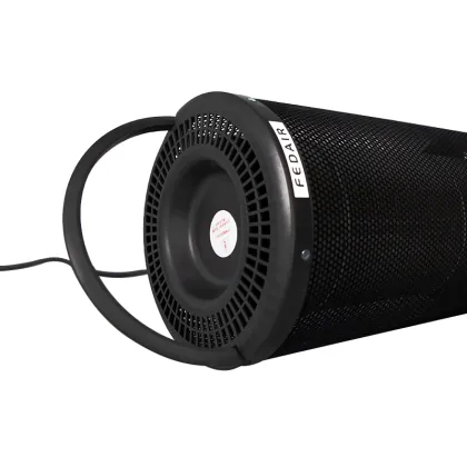 Graphene Electric Heater: 2500W Home Heating Solution