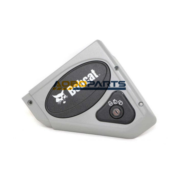Assemblaggio del pannello di controllo destro standard 7001039 6693887 6687107