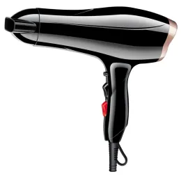 2 Speed and 3 Heat Settings Hair Dryer