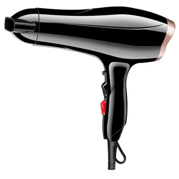 2 Speed and 3 Heat Settings Hair Dryer