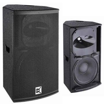 15 Inch PA Speaker (Q-15)