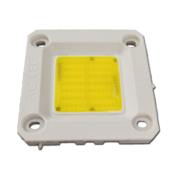Modul LED COB 20W-50W AC putih tanpa pengemudi putih untuk downlights