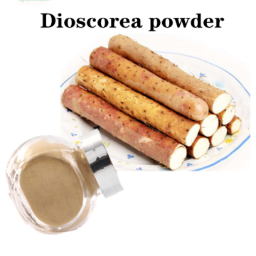 Factory price Dioscorea oppositae thunb powder for sale