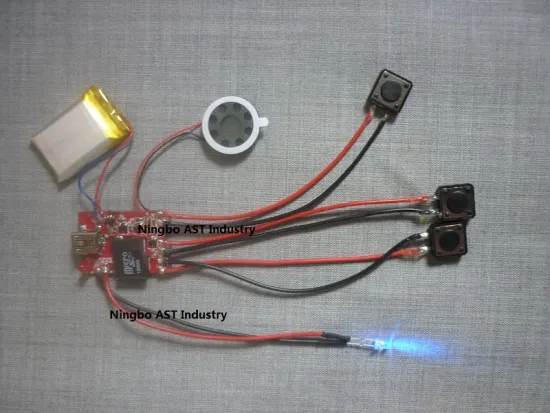 MP3 Sound Module with Voice Recording Feature