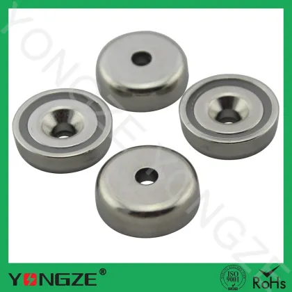 Disc monopole magnets