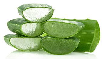 Aloe1