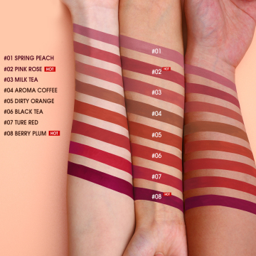 BANXEER Original Soft Velvet Matte Waterproof Lip Glaze