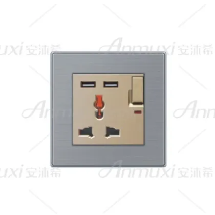 220V USB Wall Socket