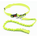 Manos Free Dog Leash para correr caminando corriendo