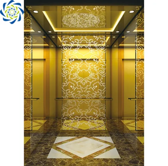 Fuji Brand Luxury Low Price Residential Passenger Lift Elevator