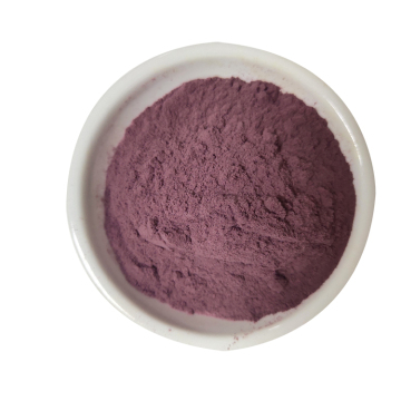 Natural Blueberry Extract Anthocyanin Powder 25% Anthocyanin Powder