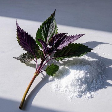 Best sclareolide cncsbio supply