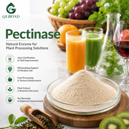 Mezcla de enzimas pectinasas para aplicaciones de procesamiento de frutas y extracción de plantas