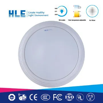 20W LED Ceiling light small ceiling light fixtures