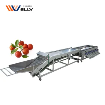Litchi and Cherry Tomato Grading Sorting Machine
