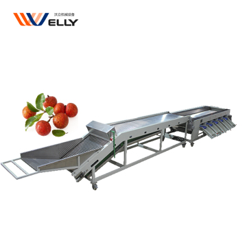 Litchi en cherry tomaten sorteermachine sorteermachine