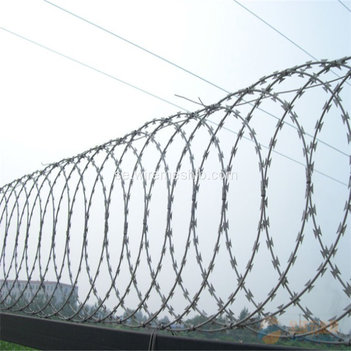 BTO-22 Hot-Dip Galvaniserad Razor Wire För Farmskydd