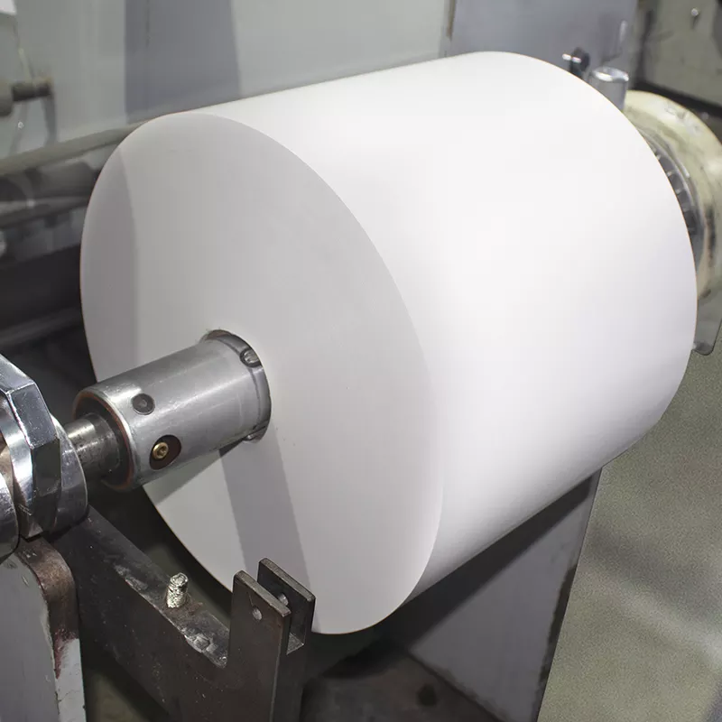 Adhesive Thermal Paper Jumbo PP Label