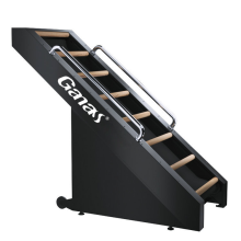 Ladder Climbing Gym Machine