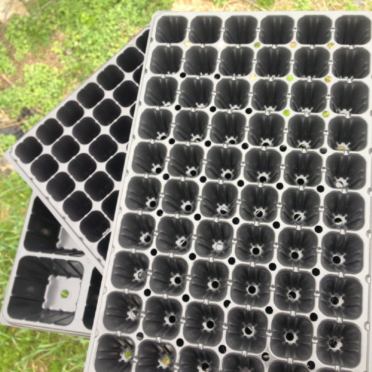 Seeding Trays 1