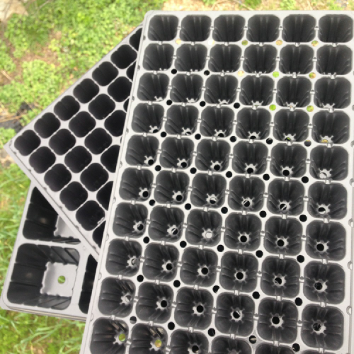 High Quality Cells Seed Growing Trays Fodder