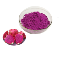 Freeze Dried Dragon Fruit Powder Price