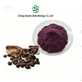 Nutrient-Rich Mulberry Fruit Powder for Smoothies and Baking