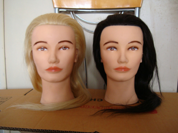 Mannequin Head with Human Hair
