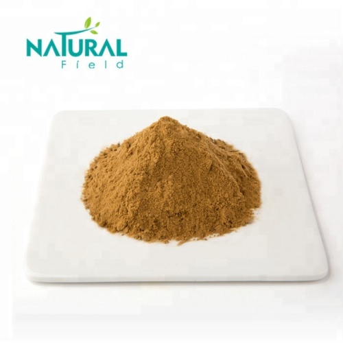 China ganoderma lucidum extract reishi mushroom powder Manufactory