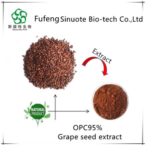 China Antioxidant 95%Procyanidins Grape Seed Extract Manufactory