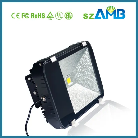 20w / 30w 2000lm/ 3000 Lm 120 Degree Outdoor Led Outdoor Floodlight Bulbs For Factory Tunnels
