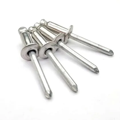 Round head closed core blind rivets Fasteners
