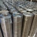 Hot sale Electro galvanzied welded wire mesh