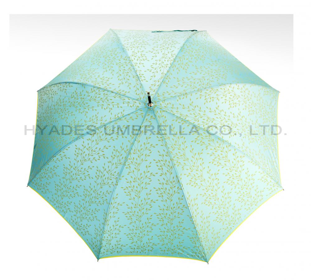 Stylish Auto Open Hook Handle Dome Umbrella