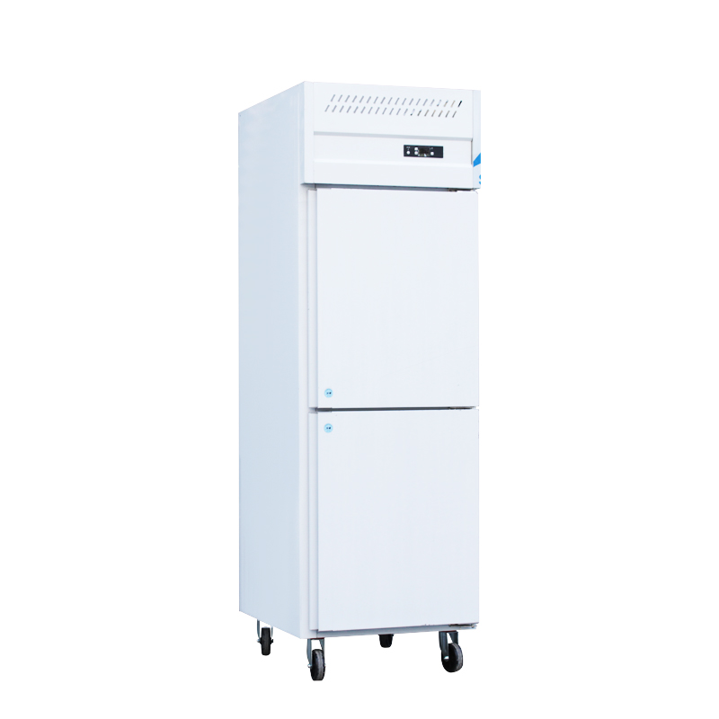 Heavy duty upright freezer for hotels Heavy duty upright freezer for hotels
