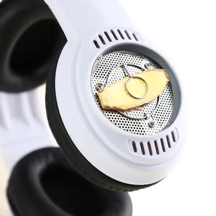 Head and ear moxibustion kit