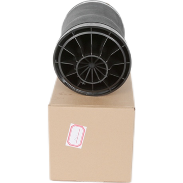 Rear Airmatic Air Spring 2513200025