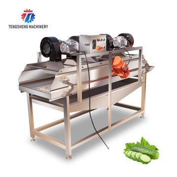 TS-ZD15 Stainless Steel Fruit and Vegetable Vibrating Dryer Air-Drying Machine