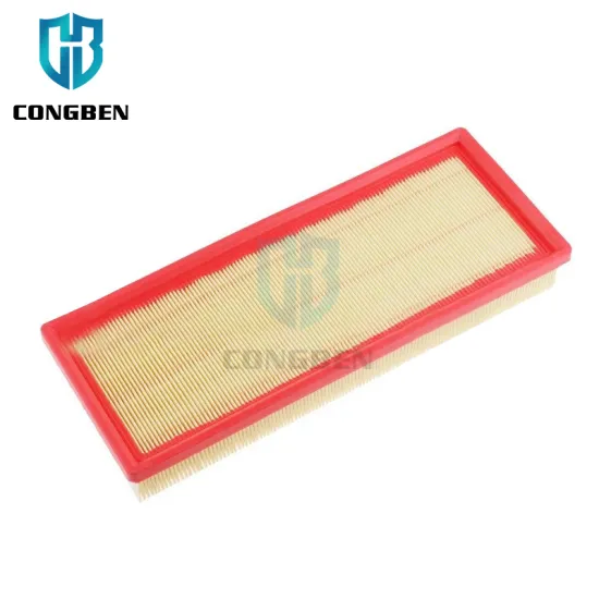 China Auto Parts Manufacturers: Air Filter 9678335980 for Peugeot Citroen C4 (9805552080)