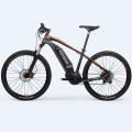 Bicicleta de montaña eléctrica personalizada para hombre