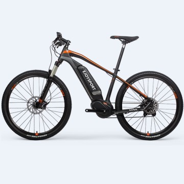 Customized Mens Electric Mountain Bike