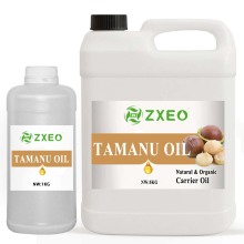 عمده فروشی روغن فله ای با فشار خون ارگانیک Tamanu برای مراقبت از پوست