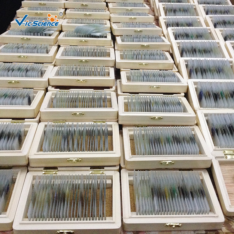 Geology Microscope Slides Geology Microscope Slides
