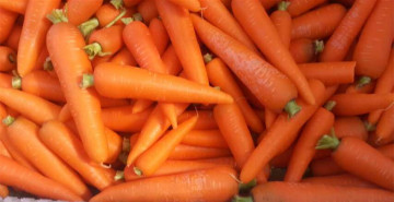 China Fresh Carrot (2014 New Season)