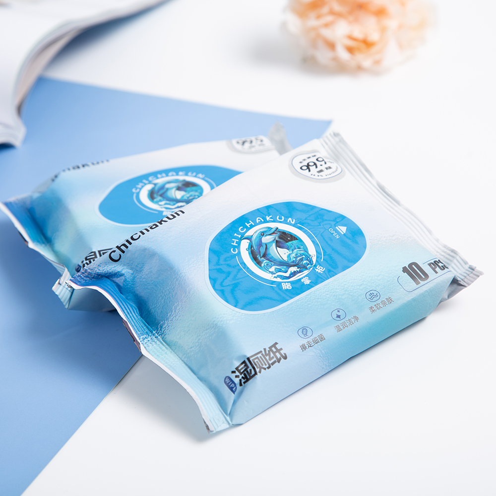 10 pcs toilet wet wipes