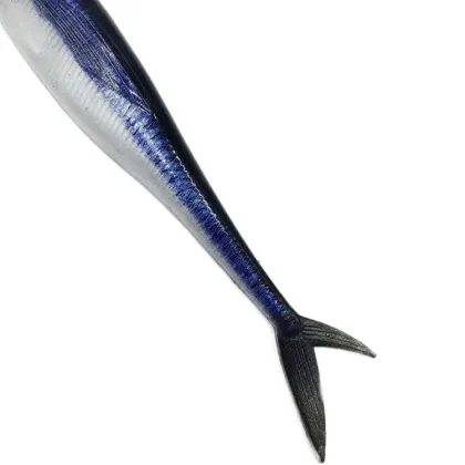 Soft Plastic Shad Lures - Fishing Tackle for Bass and More